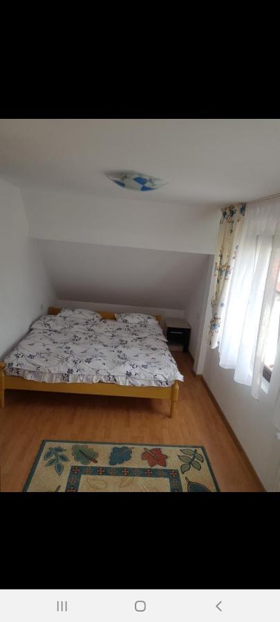 Casa Alma Hotel Borşa Eksteriør billede