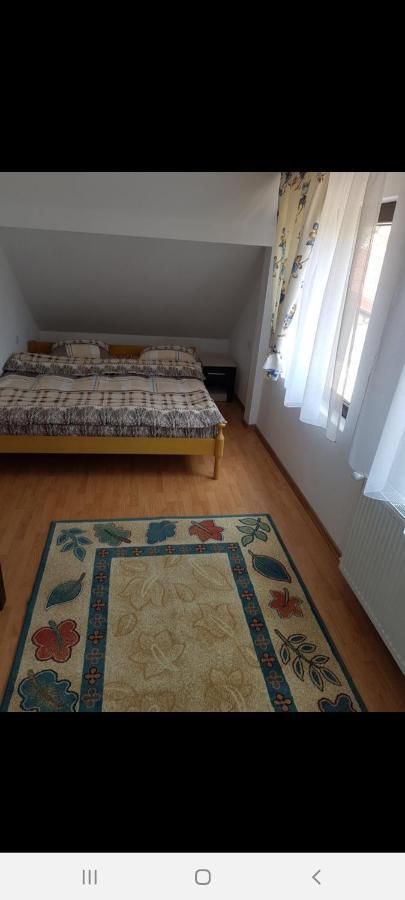 Casa Alma Hotel Borşa Eksteriør billede