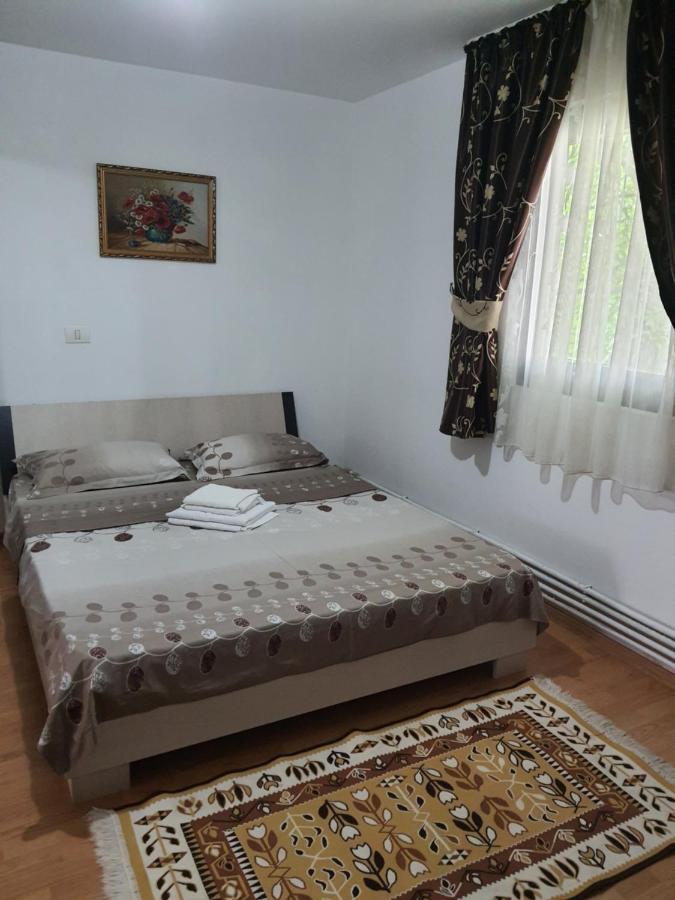 Casa Alma Hotel Borşa Eksteriør billede