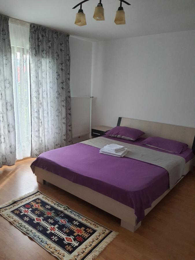 Casa Alma Hotel Borşa Eksteriør billede