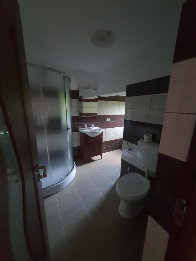 Casa Alma Hotel Borşa Eksteriør billede