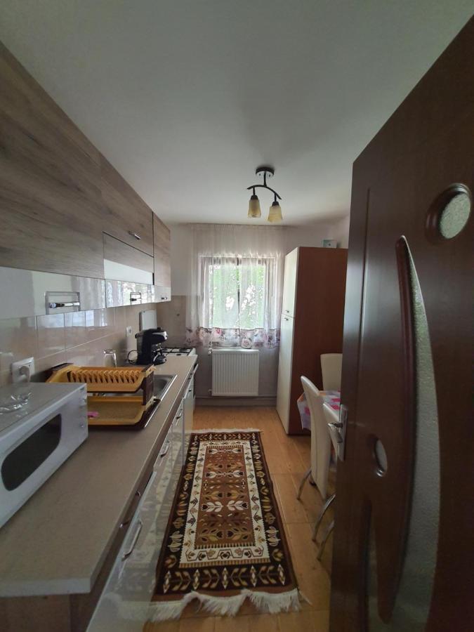Casa Alma Hotel Borşa Eksteriør billede